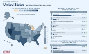 2010 Census US ethnicity